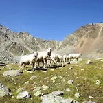 Casa vacanze Jagd - By Interhome Sölden
